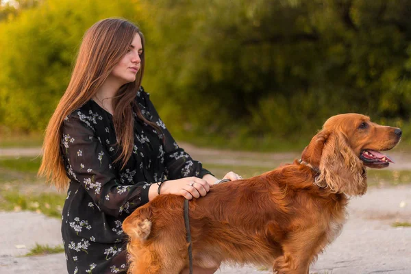 Sladká mladá dívka a venčení v podzimním parku. Pes se nanese, lov. Dívka v šatech je školení pet. — Stock fotografie