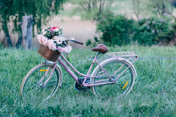Bicicleta vintage com cesta cheia de flores em pé no campo — Fotografia de Stock