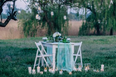 bir masa örtüsü ve sandalye bahçede içeren tablo