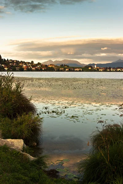 Folhas Sobre Água Lago — Fotografia de Stock