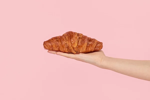 Crop Hand präsentiert goldenes Croissant — Stockfoto