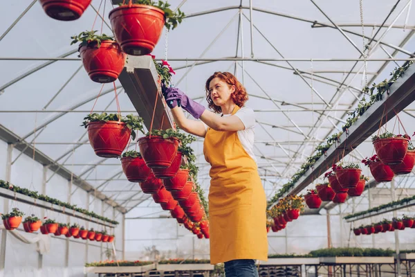 Mulher cuidando de plantas em estufa — Fotografia de Stock