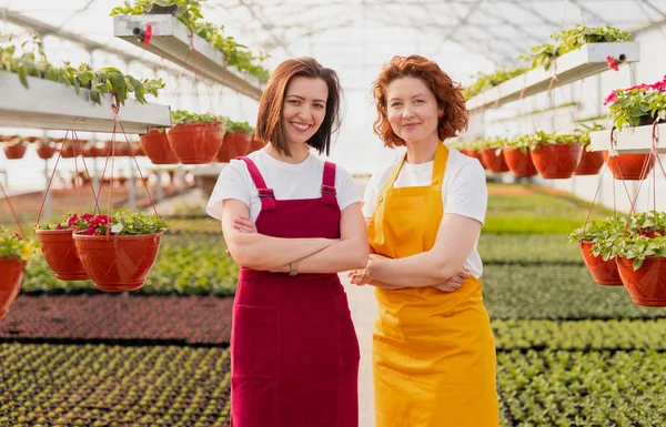 Confident women in large greenhouse looking at camera Royalty Free Stock Images