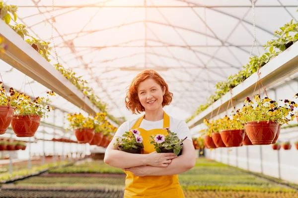 Smiling lady with potted flowers in hothouse Stock Photo