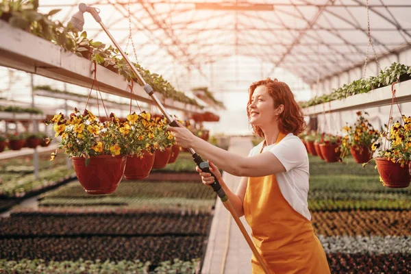 Plantas de rega de jardineiro sorridentes em estufa — Fotografia de Stock