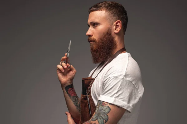 Makas ile ciddi sakallı stilist — Stok fotoğraf