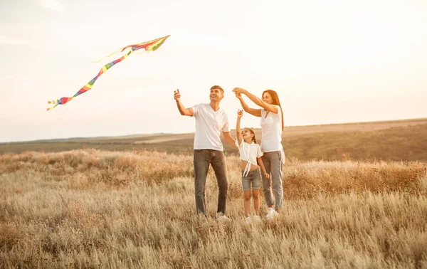 Щаслива сім'я з повітряним змієм в полі — стокове фото