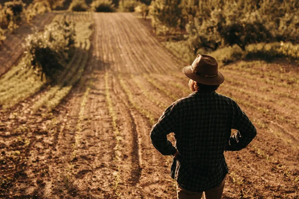 Anonymní farmář se dívá na orané pole — Stock fotografie