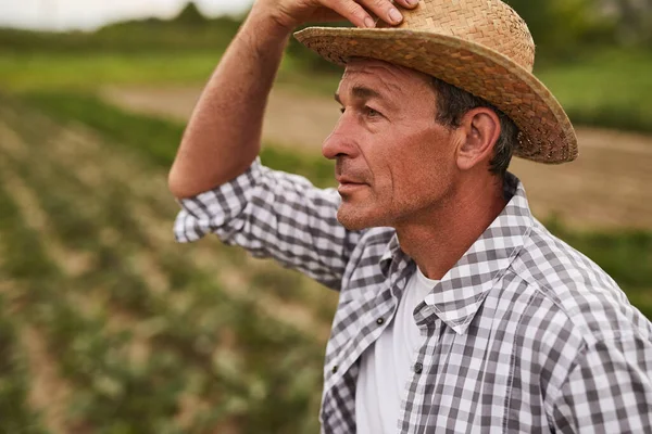 Poważny dojrzały rolnik stojący na polu — Zdjęcie stockowe