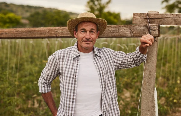 Agricultor positivo em pé perto da plantação agrícola — Fotografia de Stock