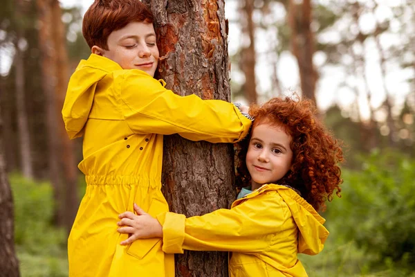 Irmão e irmã abraçando árvore — Fotografia de Stock