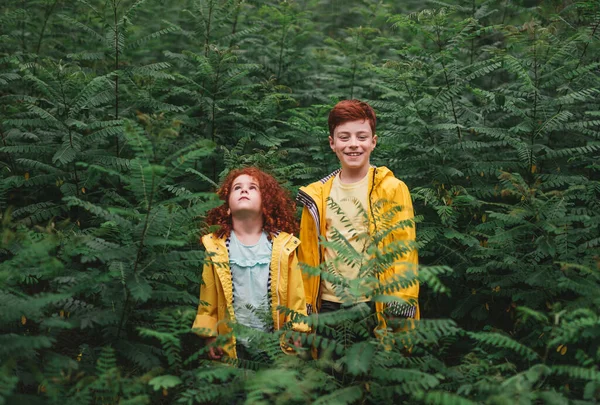 Ginger anak-anak berdiri di pakis — Stok Foto