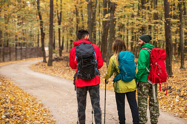 Group of hikers walking in autumn forest