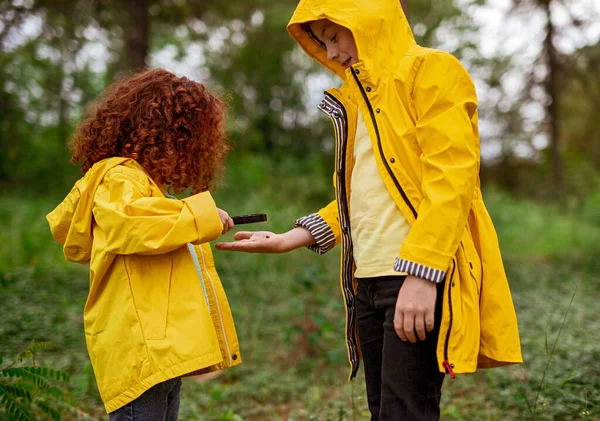 Menina com irmão explorando a natureza na floresta de verão — Fotografia de Stock