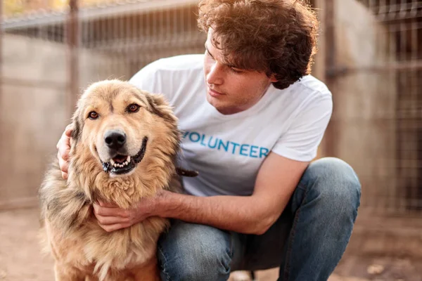 Volunteer taking care of dog in shelter — Stock Photo, Image