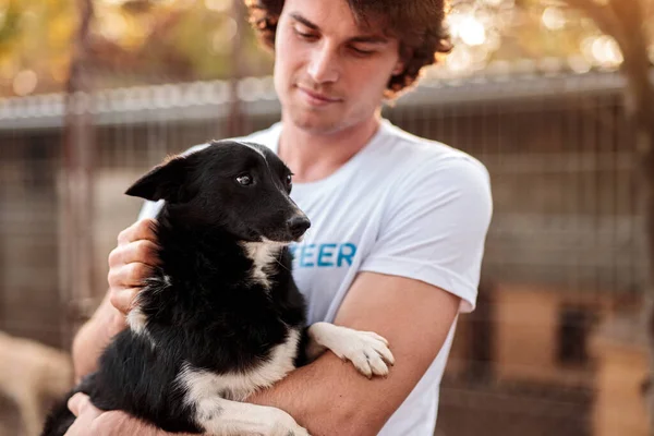 Masculino voluntário cão de estimação no abrigo — Fotografia de Stock