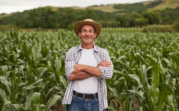 Agricultor maduro y seguro en el campo agrícola —  Fotos de Stock