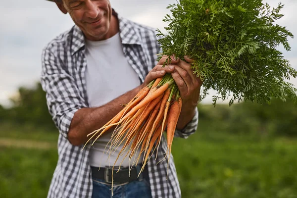 Счастливый фермер с кучей моркови — стоковое фото