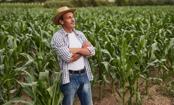 Agricultor seguro cerca del campo de maíz —  Fotos de Stock