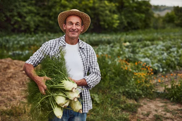 Gelukkig volwassen tuinman met bos van dille — Stockfoto