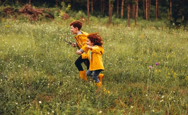 Glada ingefära syskon har kul i fält — Stockfoto