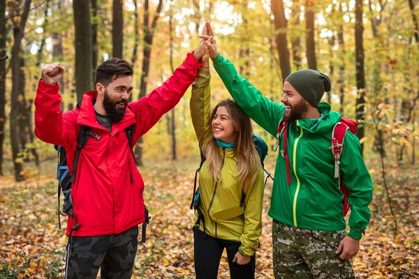 Viajeros alegres dando cinco en el bosque de otoño — Foto de Stock