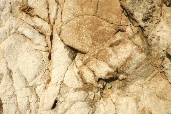 Arkaplan için taş dokusu