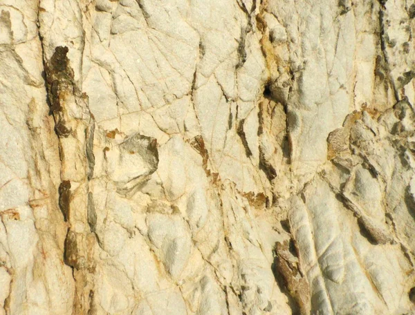 Arkaplan için taş dokusu