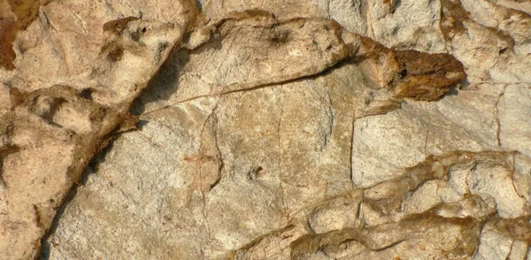 Arkaplan için taş dokusu