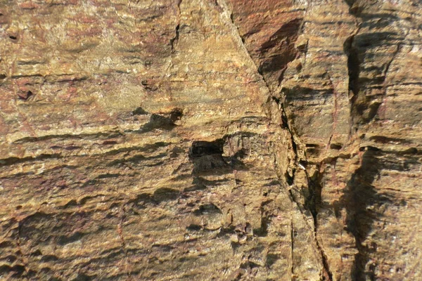 Arkaplan için taş dokusu