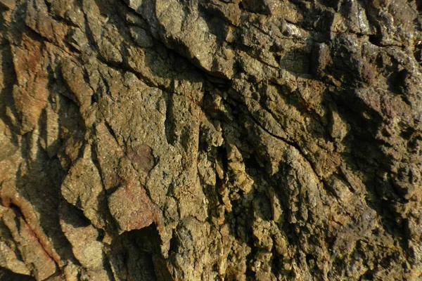 Textura Pedra Para Fundo — Fotografia de Stock