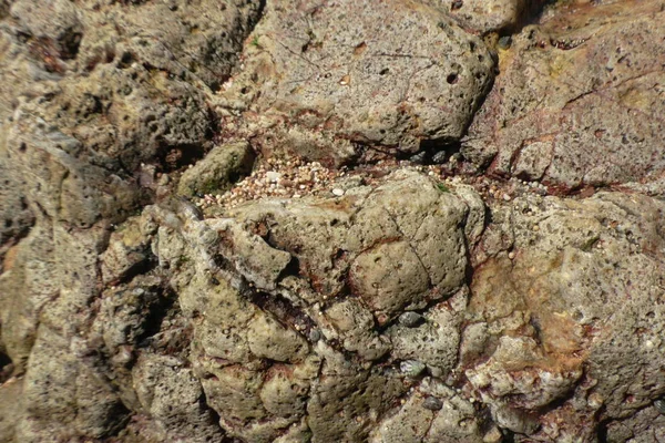 Textura Pedra Para Fundo — Fotografia de Stock