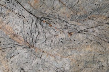 Arkaplan için taş dokusu