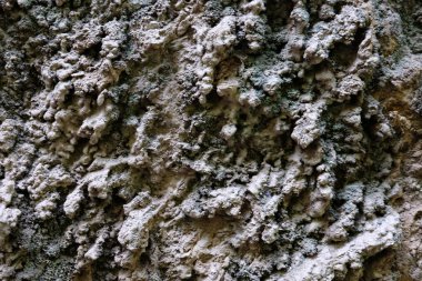 Arkaplan için taş dokusu