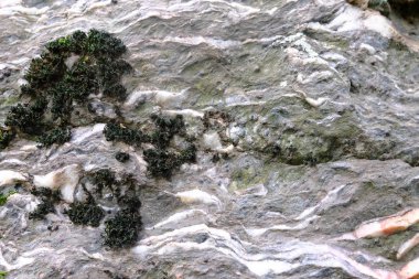 Arkaplan için taş dokusu