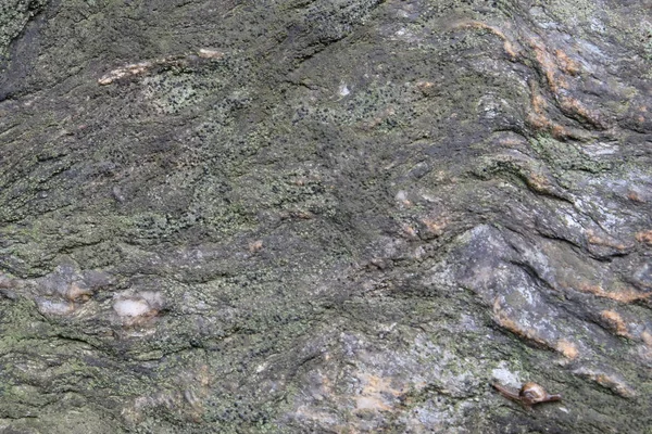 Arkaplan için taş dokusu