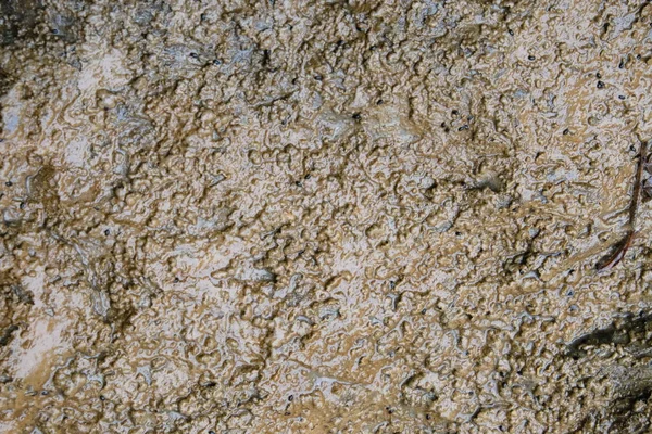 Textura Piedra Para Fondo — Foto de Stock