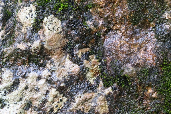 Stenen Textuur Voor Achtergrond — Stockfoto