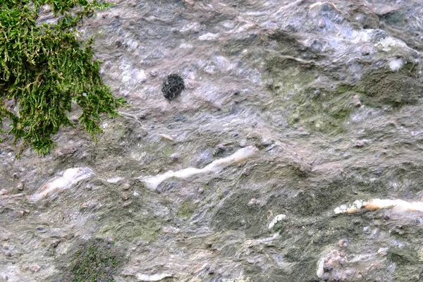 Arkaplan için taş dokusu