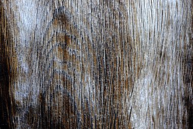 Ahşap ağaç doku arka plan için