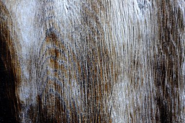 Ahşap ağaç doku arka plan için