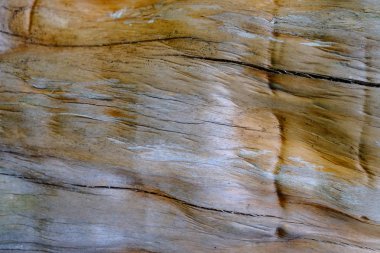 Ahşap ağaç doku arka plan için