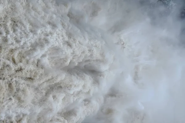 Ahşap ağaç doku arka plan için