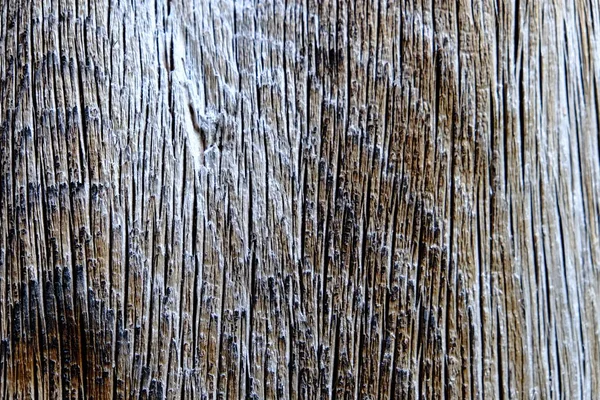 Ahşap ağaç doku arka plan için