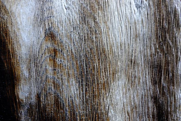 Ahşap ağaç doku arka plan için