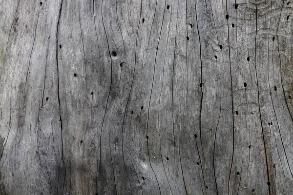 Ahşap ağaç doku arka plan için