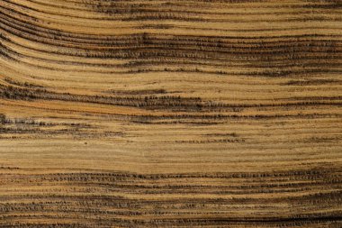 Ahşap ağaç doku arka plan için