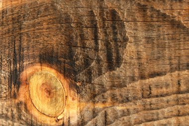 Ahşap ağaç doku arka plan için