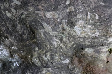 Ahşap ağaç doku arka plan için