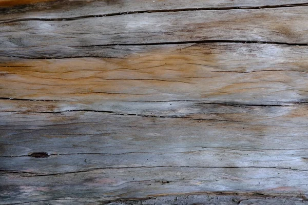 Ahşap ağaç doku arka plan için